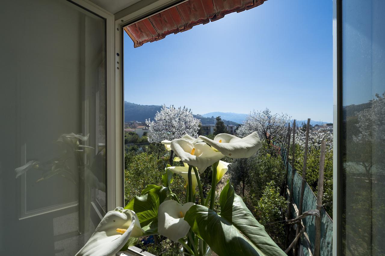 Casa Lina Villa Sant'Angelo  Buitenkant foto